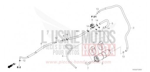 CUVETTE C125AN de 2022